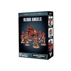 Start Collecting  Blood Angels