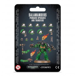 Mejoras y calcomanías de Salamanders Primaris